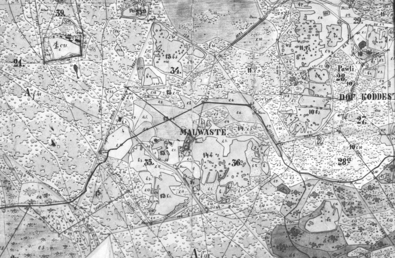 Fotokoopia (negatiiv) Kodeste, Malvaste küla kaardist 1878,1882.a.