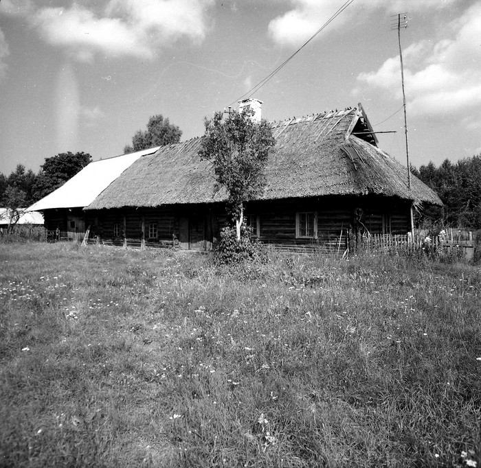 Mihkli talu rehielamu Malvastes