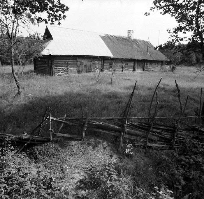 Mihkli talu rehielamu Malvastes