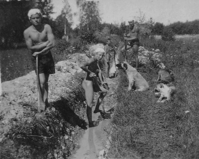 A.Laikmaa õpilased Taeblas kraavi kaevamas