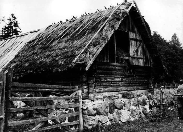 Talu kõrvalhoone Heistesoo külas