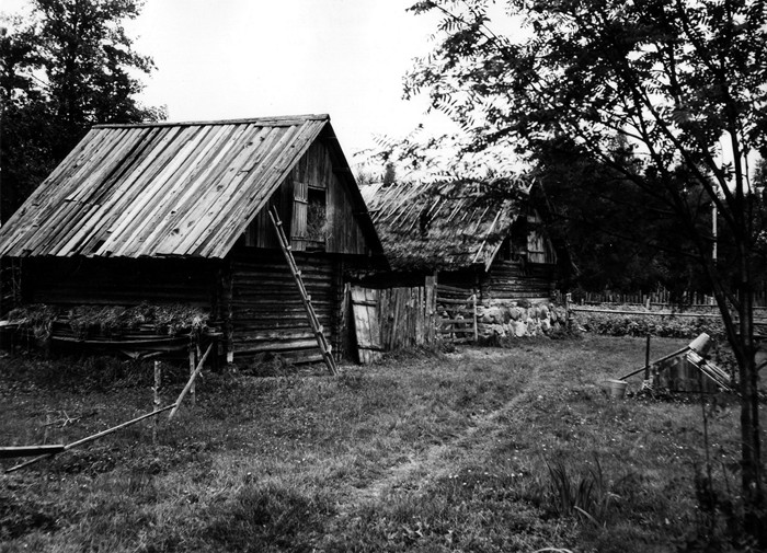 Talu kõrvalhooned Heistesoo ? külas
