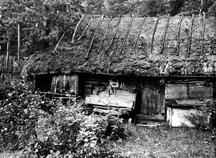 Kõrvalhoone Tilga külas