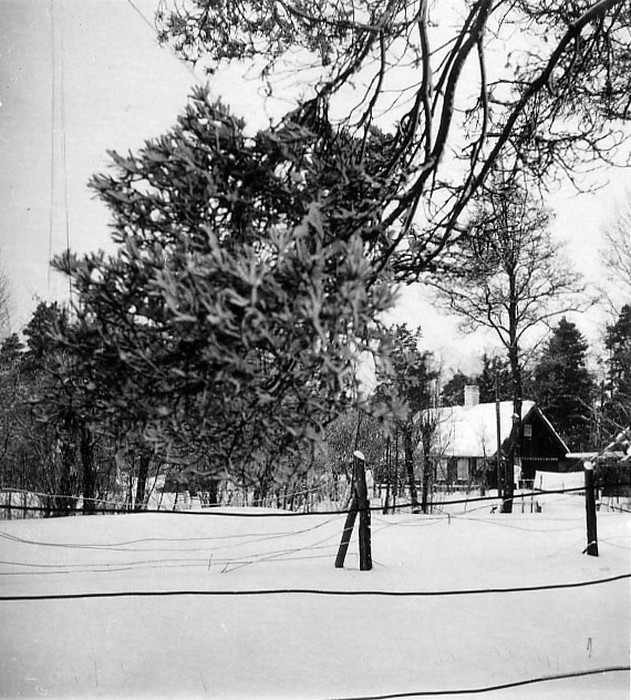 Foto: Paul Kammi sünnikodu, talvel