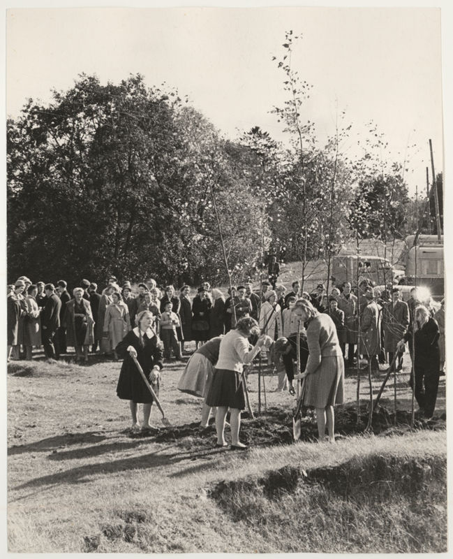 August Janseni majamuuseumi avamine. Kaskede istutamine