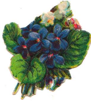 Kleepspilt, võõrasemad