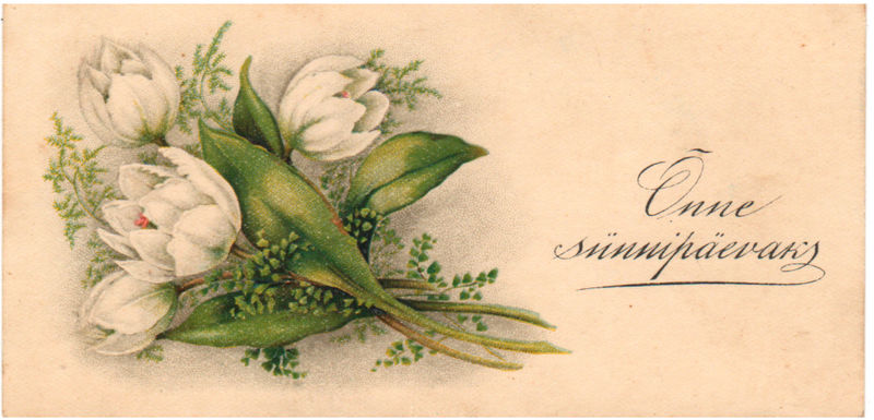 Piltpostkaart: Lilledega