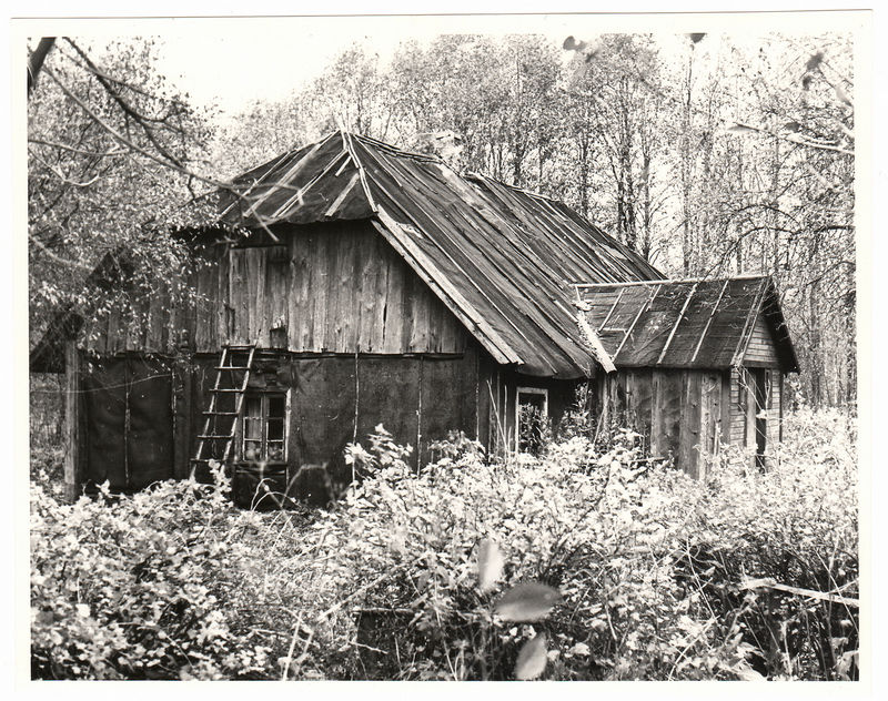 Priit Põldroosi sünnikodu