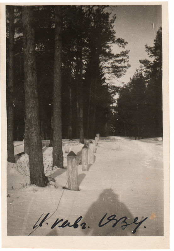 Keila männikus talvel