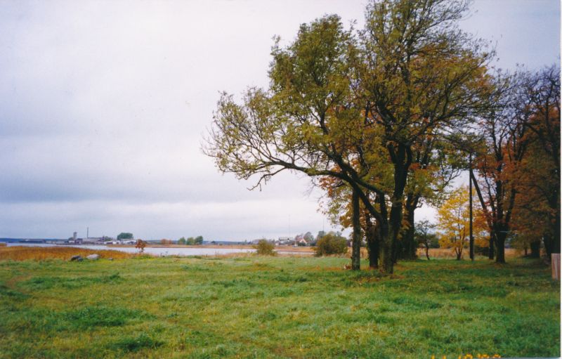 Värvifoto. Eeslahe kaldaäärne suurte puudega. Haapsalu. 1998.