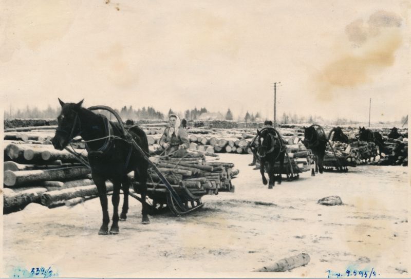 Foto. Järjekordne metsavoor saabumas Vändra raudteejaama juurde laoplatsile.