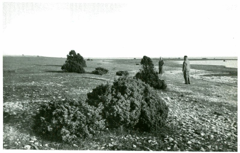 Foto. Rumpo rannakarjamaa.  Albumis Suvemälestused Vormsilt. 1933/34. Foto: J.F. Luikmil.