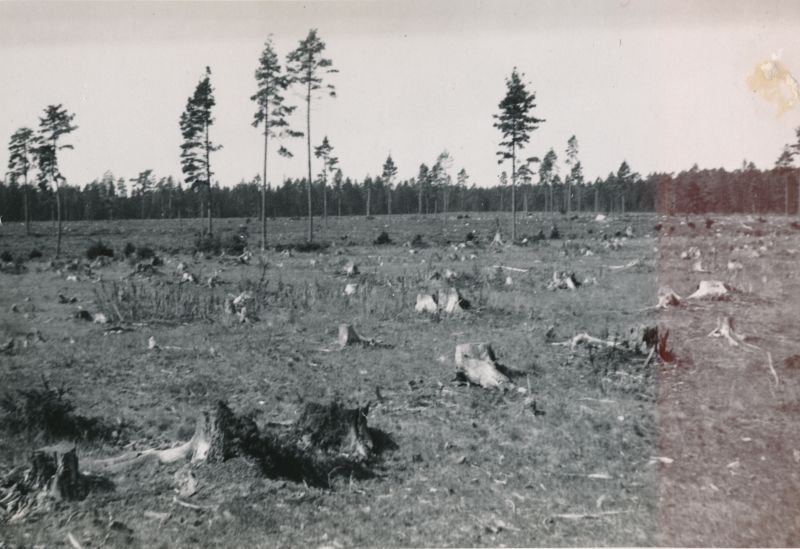 Foto. Lageraie Hullos.  Albumis Suvemälestused Vormsilt. 1933/34. Foto: J.F. Luikmil.