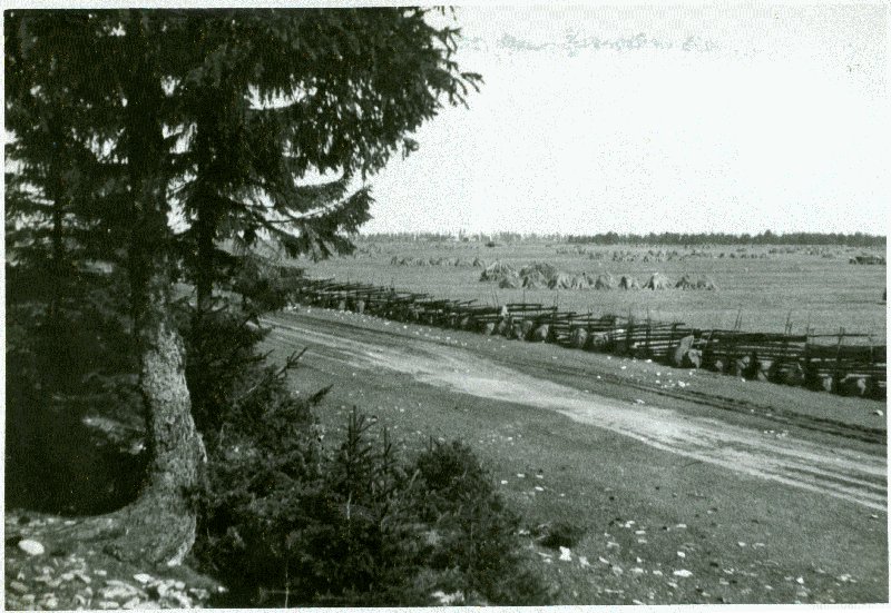 Foto. Viljapõld Borbys.  Albumis Suvemälestused Vormsilt. 1933/34. Foto: J.F. Luikmil.
