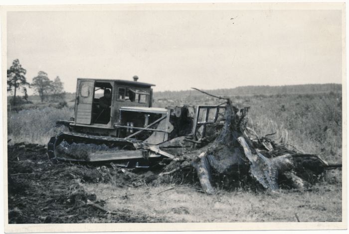 Foto. Märjamaa sovhoosi traktorist E. Eskel juurija-kogujaga kände juurimas. Fotogr. E. Järve.