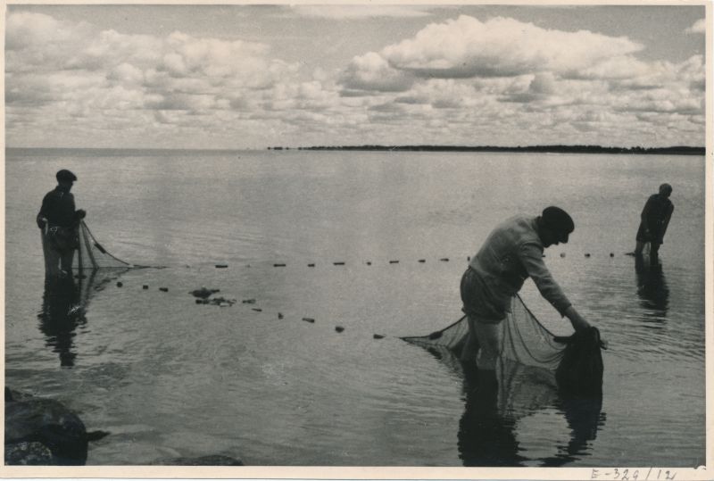Foto. ETA kogu. Lihula v. Ranna kolhoosi kalurid Aleksander Kask, Aleksander Ailand ja Elmar Kask noota vedamas. 1948.