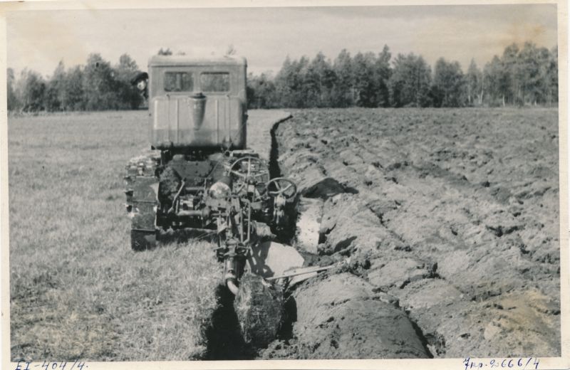 Foto. Uudismaa künd Läänemaa Lihula sovhoosis. Foto: ETA, 1950.