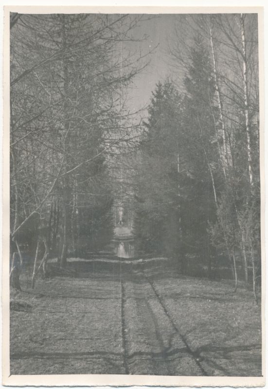 Foto. A.Laikmaa majamuuseum Taeblas. Allee pargis, selle lõpus A.Laikmaa hauasammas. 1964. Foto: R.Kalk.