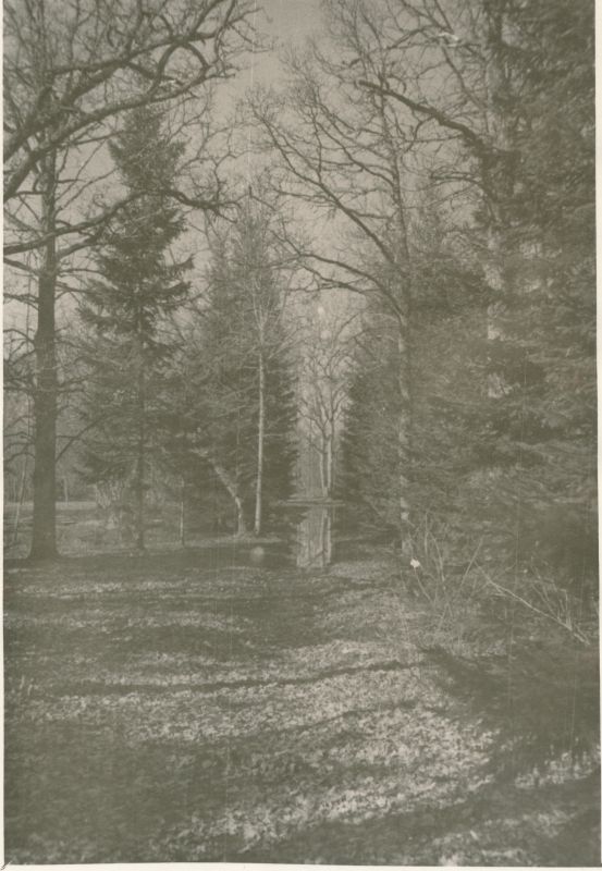 Foto. Ants Laikmaa majamuuseumi park Taeblas. 1960.a. kevadel