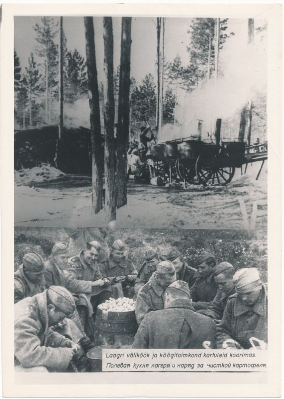 Foto. Eesti Laskurkorpuse laagri väliköök ja köögitoimkond kartuleid koorimas 1942-45.