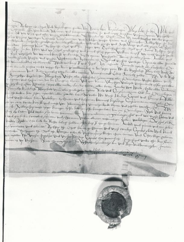 Fotokoopia. Saare-Lääne piiskopi Reinholdi (Reinholdus) kinnituskiri Saare-Lääne rüütelkonna privileegide kohta. Haapsalu, 6.mai 1539. Pärgamentürik (orig.).