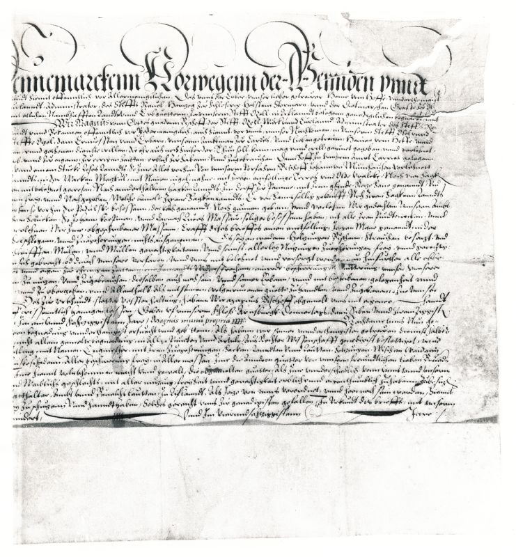 Fotokoopia. Taani kuninga Frederik II ürik Saare-Lääne piiskopi Magnuse poolt 27.okt. 1561 Kuressaares antud läänikirja kinnitamise kohta, 17.jaanuar 1564, Kiel. Pärgamentürik, originaal.
