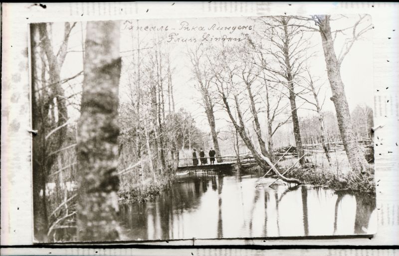 Negatiiv. Tselluloid. Albumis.