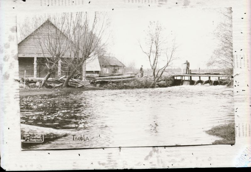 Negatiiv. Tselluloid. Albumis.