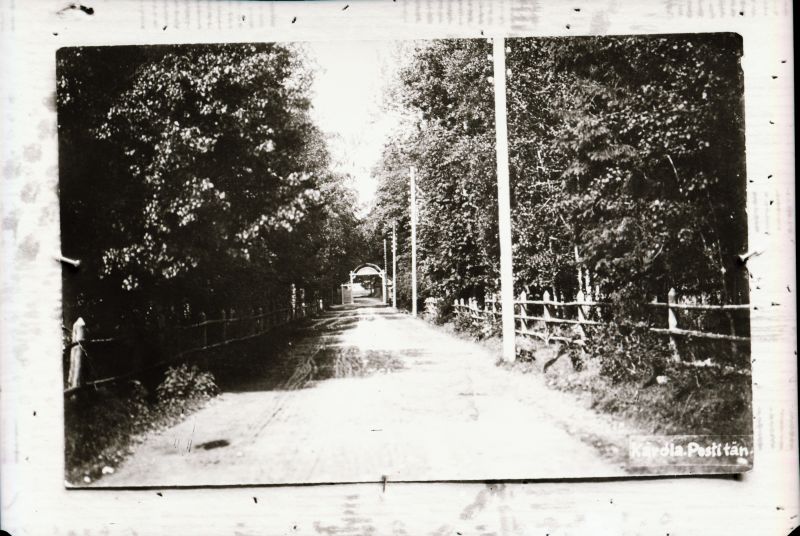 Negatiiv. Tselluloid. Albumis.