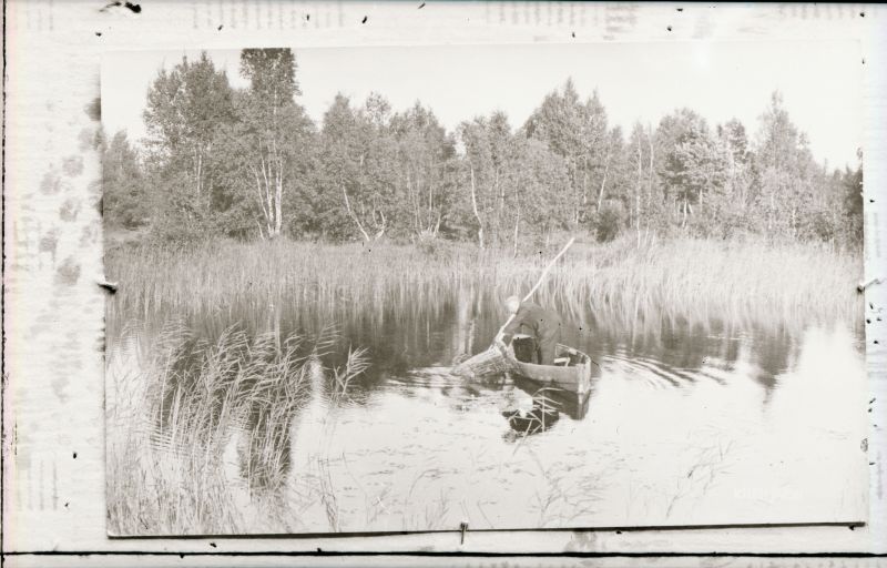 Negatiiv. Tselluloid. Albumis.