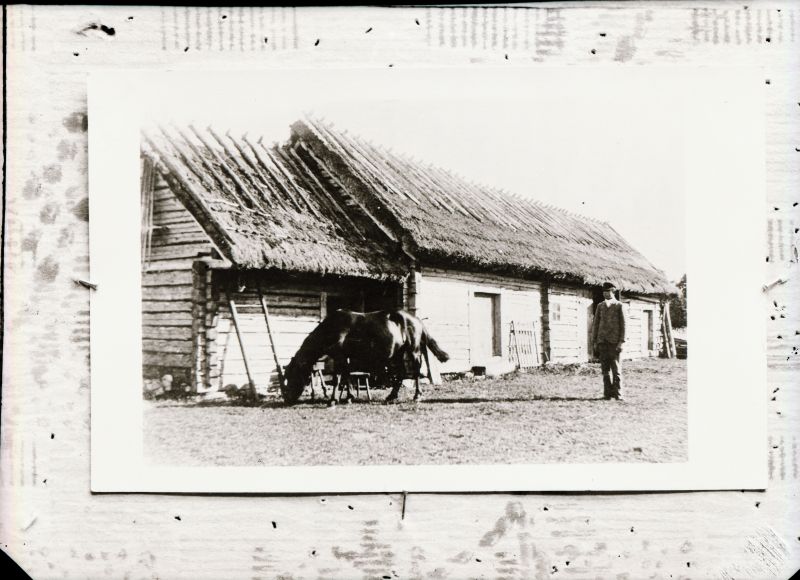 Negatiiv. Tselluloid. Albumis.