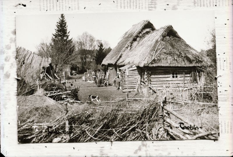 Negatiiv. Tselluloid. Albumis.