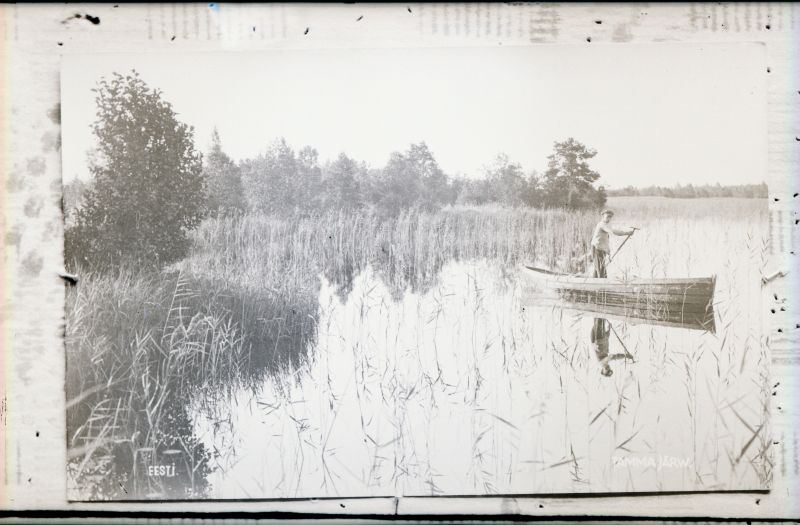 Negatiiv. Tselluloid. Albumis.