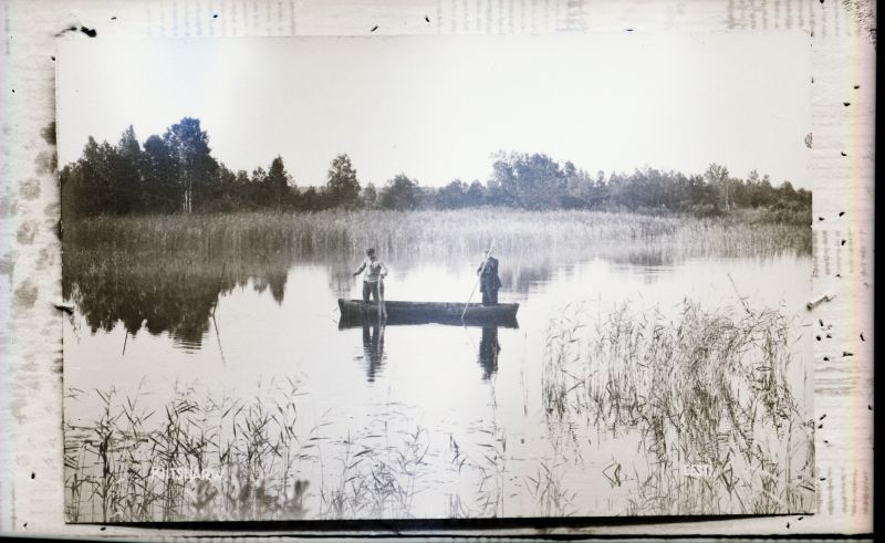 Negatiiv. Tselluloid. Albumis.