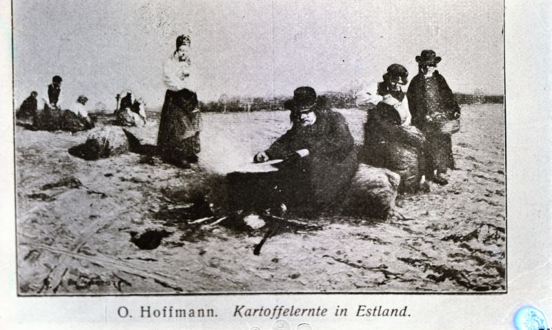 Negatiiv. Tselluloid. Albumis.