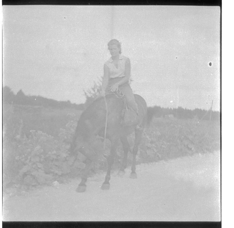 Tselluloidnegatiiv. Ivi Tarendi hobusel.