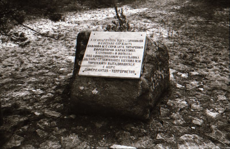 Tselluloidnegatiiv. Kultuurimälestised Haapsalus ja selle ümbruses. Piirivalvur M. Kozlovi lahingupaiga mälestuskivi Spithami külas Põõsaspeal.