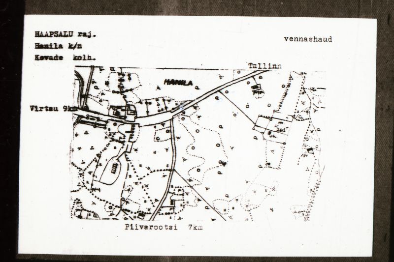 Negatiiv. Hanila külanõukogu. "Kevade" kolhoos. Vennashaud.
Ü.p. 1976.a.