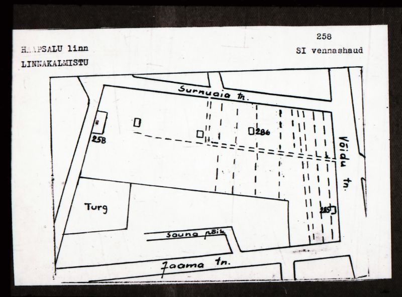 Negatiiv. Haapsalu. Linnakalmistu. Suure Isamaasõja vennashaud.
Ü.p. 1976.