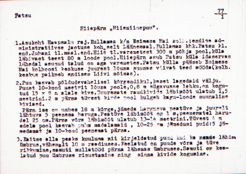 Negatiiv. Patsu. Hiiepärn "Hiieniinepuu".
Ü.p. 1976.