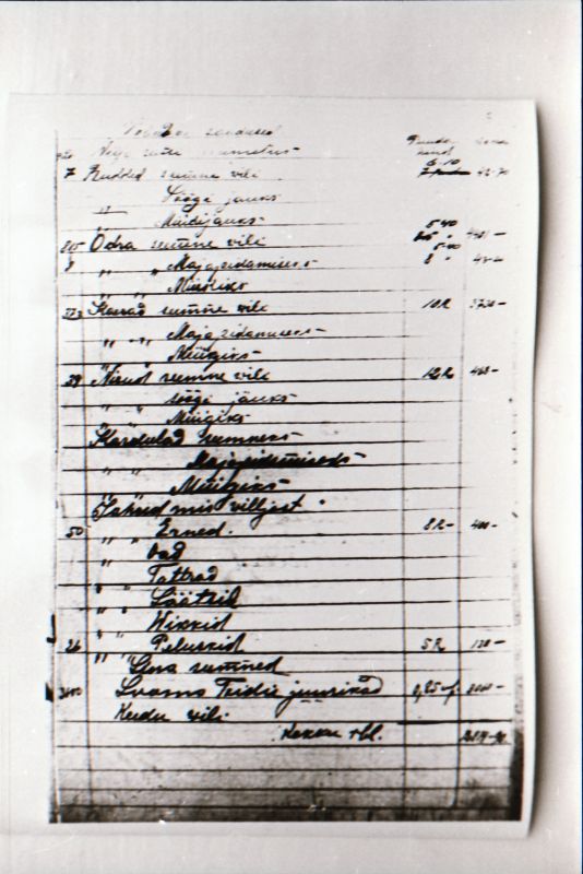 Negatiiv. 1917. a sündmusi Haapsalus ja selle ümbruses kajastav materjal. Ümberpildistus trükisest. Ümberpildistas Mihail Naumov, 1987.
