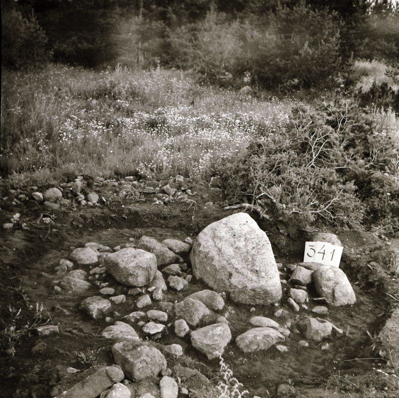 Negatiiv. Kõmsi põllukivihunnikute kaevamine 1981.a. Põllukivihunniku nr 341 II kivikiht. 
Foto: M. Mandel.