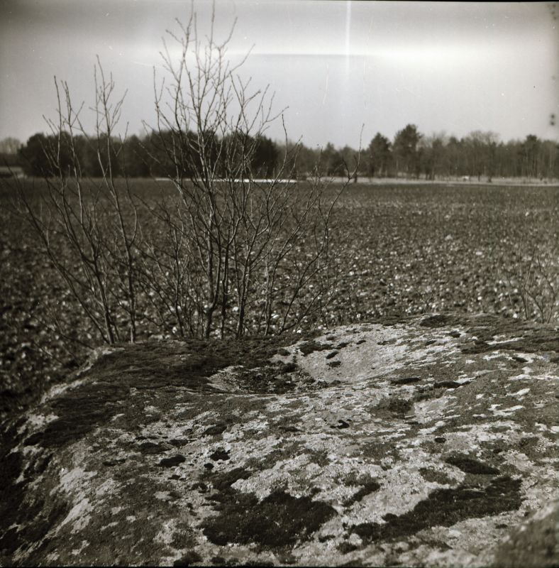 Negatiiv. Ohvrikivi Linnamäe külanõukogus Haapsalu rajoonis, pealtvaade. 1981.a.
Foto: M. Mandel.