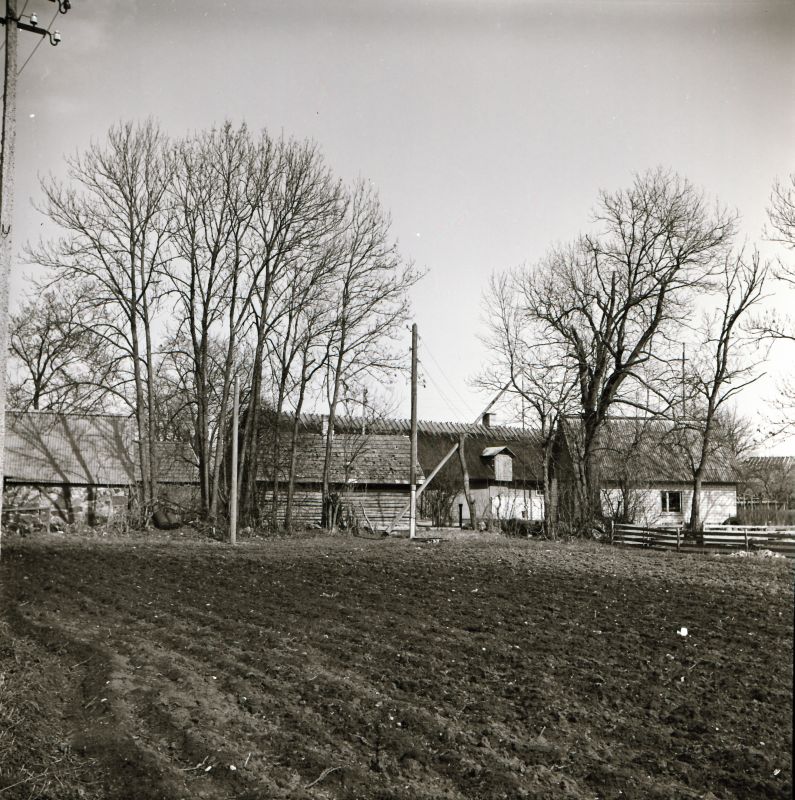 Negatiiv.  Haapsalu rajooni Kedre asula lõunast. 08.05.1980.a.
Foto: M. Mandel.