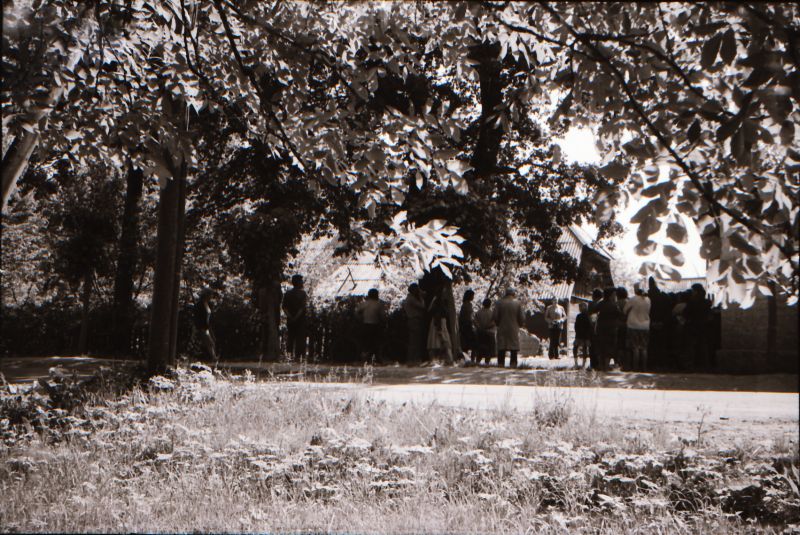 Negatiiv. W.K.F. Peterseni (1854-1933) mälestuskivi avamine. 12.06.1979.