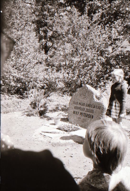 Negatiiv. W.K.F. Peterseni (1854-1933) mälestuskivi avamine. 12.06.1979.