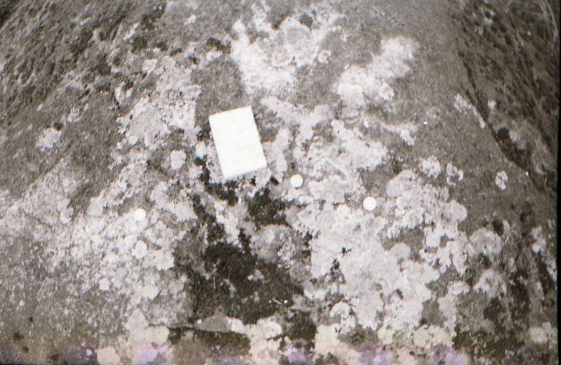 Negatiiv. Arheoloogiamälestis Pelgupaik (Raksklemägi). 12.06.1979.