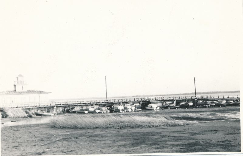 Foto. Suur mõõn Haapsalu paadisadamas. Foto V. Pärtel, 1976