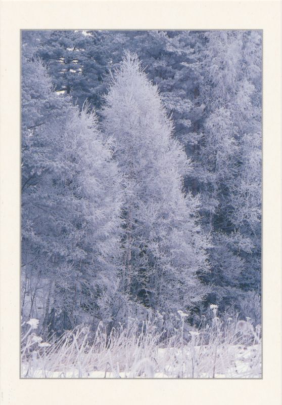 Postkaart. Teater "Randlane" õnnitluskaart Läänemaa muuseumile jõuludeks 1996