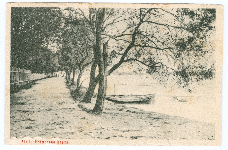 Postkaart. Vaikne Promenaad. 1929.